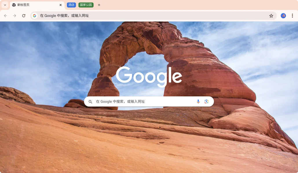 谷歌浏览器 Browser Interface